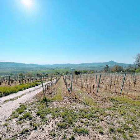 شقة Bakos Pinceszet Csobanc Bastya Es Borterasz Gyulakeszi