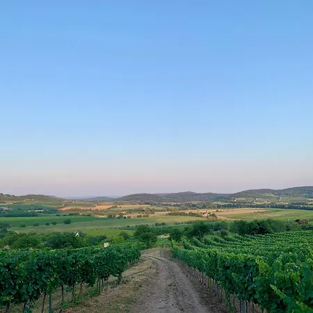 Bakos Pinceszet Csobanc Bastya Es Borterasz شقة *