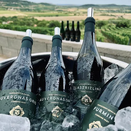 شقة Bakos Pinceszet Csobanc Bastya Es Borterasz