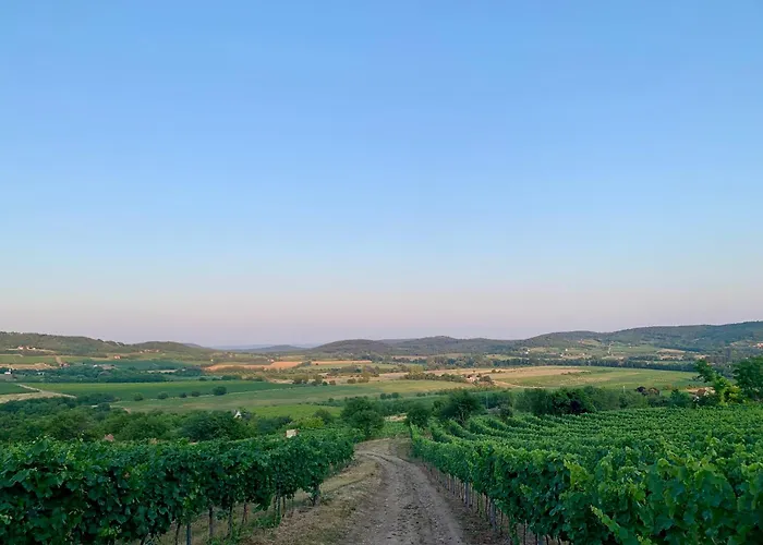 Bakos Pinceszet Csobanc Bastya Es Borterasz شقة *